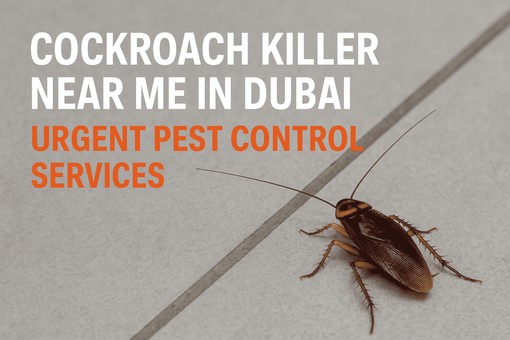Cockroach Killer Near Me in Dubai,