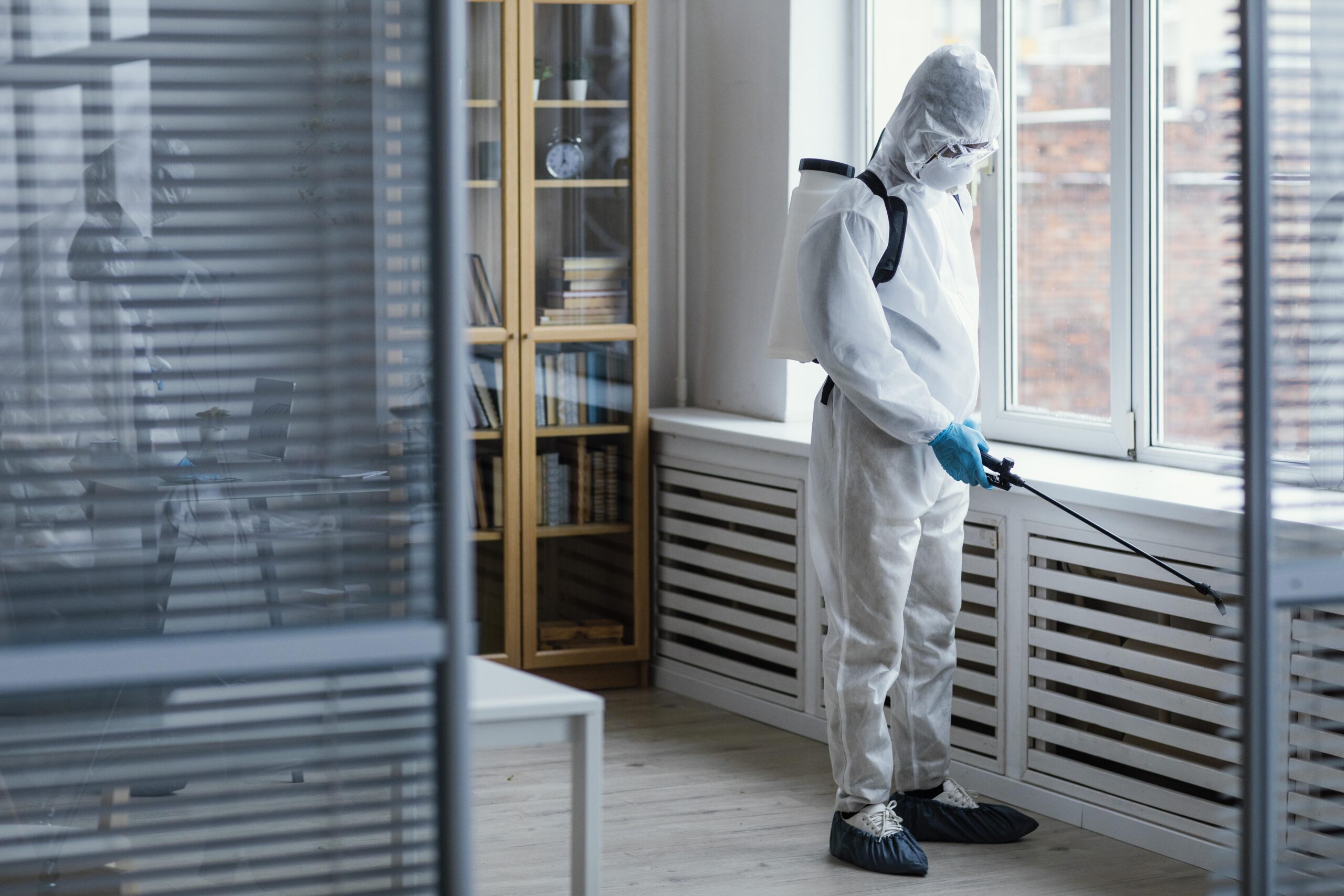 Pest Control Services in JVC Dubai