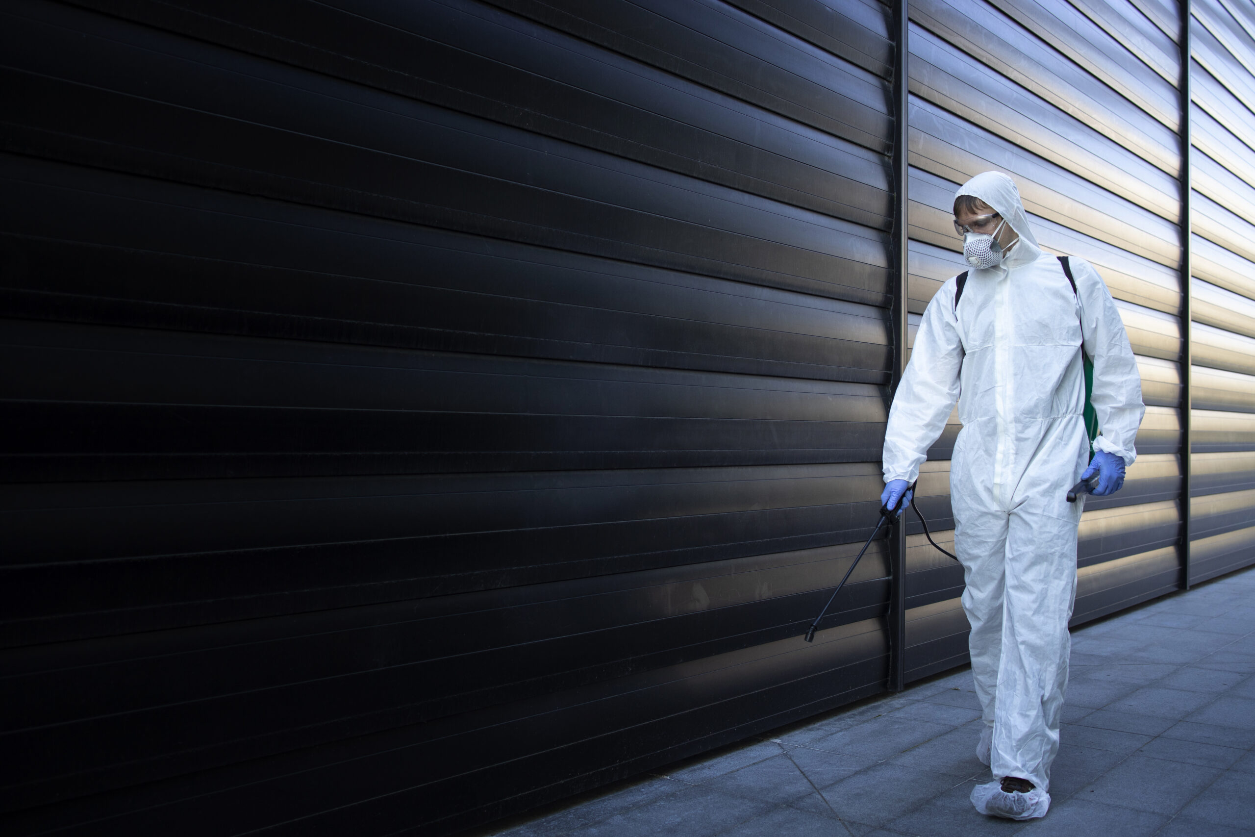 Pest Control Yearly Contract in Dubai
